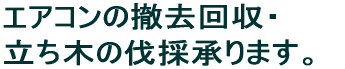 GAR̓PE؂̔̏܂B / le傲݉.com 